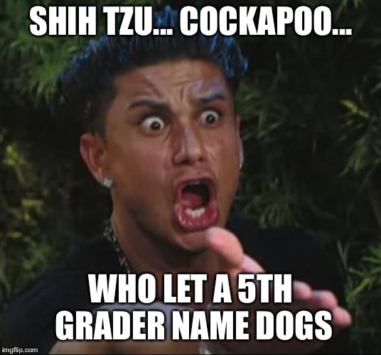 DJ Pauly D Meme | SHIH TZU... COCKAPOO... WHO LET A 5TH GRADER NAME DOGS | image tagged in memes,dj pauly d | made w/ Imgflip meme maker