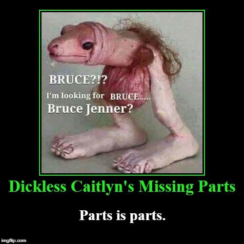 Caitlyn's Missing Parts | Dickless Caitlyn's Missing Parts | Parts is parts. | image tagged in funny,demotivationals,bruce jenner,caitlyn jenner,parts is parts,missing parts | made w/ Imgflip demotivational maker