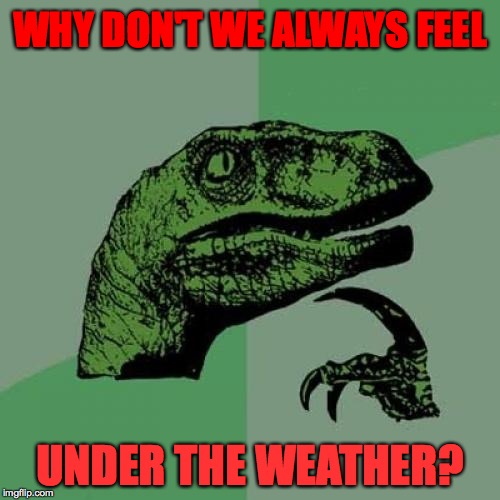 I'm feeling it right now.  ) : | WHY DON'T WE ALWAYS FEEL; UNDER THE WEATHER? | image tagged in memes,philosoraptor | made w/ Imgflip meme maker