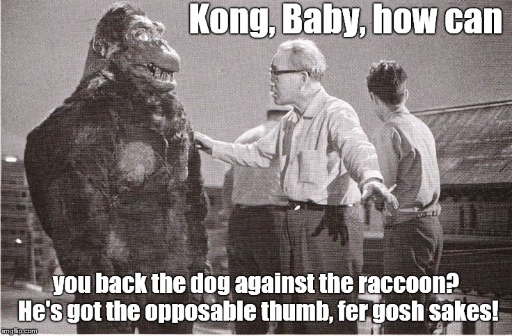 Kong with Director | Kong, Baby, how can you back the dog against the raccoon? He's got the opposable thumb, fer gosh sakes! | image tagged in kong with director | made w/ Imgflip meme maker