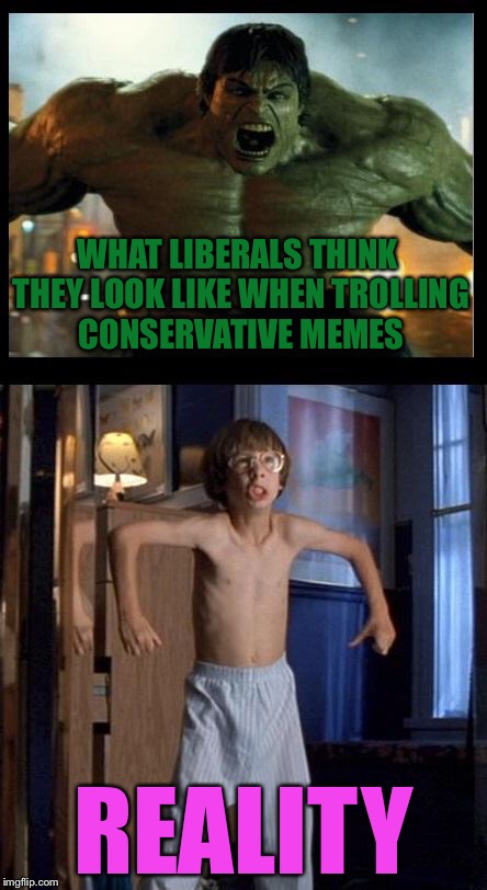 hulk little giant | WHAT LIBERALS THINK THEY LOOK LIKE WHEN TROLLING CONSERVATIVE MEMES; REALITY | image tagged in hulk little giant | made w/ Imgflip meme maker