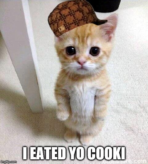 Scumbag Cat | I EATED YO COOKI | image tagged in memes,cute cat,scumbag | made w/ Imgflip meme maker
