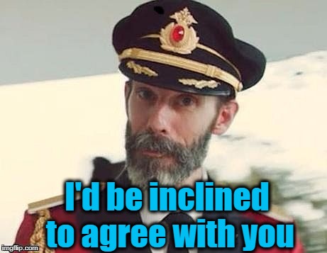 Captain Obvious | I'd be inclined to agree with you | image tagged in captain obvious | made w/ Imgflip meme maker