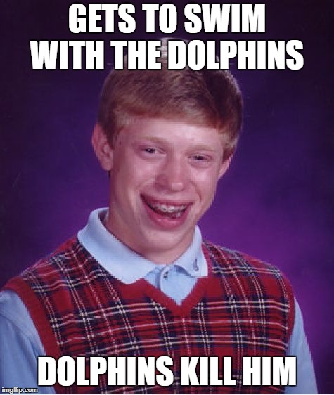 Bad Luck Brian Meme | GETS TO SWIM WITH THE DOLPHINS; DOLPHINS KILL HIM | image tagged in memes,bad luck brian | made w/ Imgflip meme maker