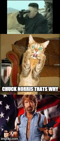 Come get some | CHUCK NORRIS THATS WHY | image tagged in memes,north korea,chuck norris,kim jong un,funny,kung fu | made w/ Imgflip meme maker