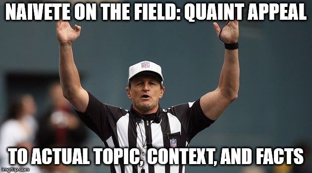 NFL Ref | NAIVETE ON THE FIELD: QUAINT APPEAL; TO ACTUAL TOPIC, CONTEXT, AND FACTS | image tagged in nfl ref | made w/ Imgflip meme maker