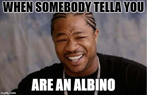 Yo Dawg Heard You | WHEN SOMEBODY TELLA YOU; ARE AN ALBINO | image tagged in memes,yo dawg heard you | made w/ Imgflip meme maker