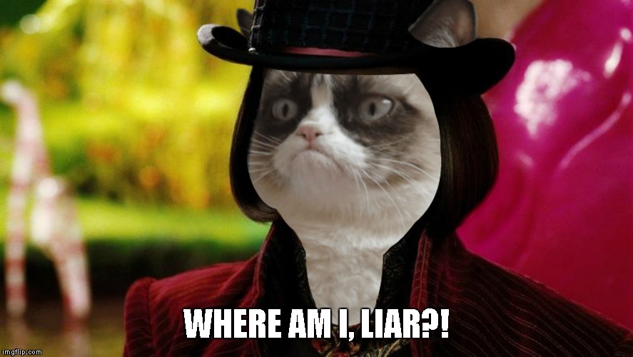 Wonka Grumpy Cat | WHERE AM I, LIAR?! | image tagged in wonka grumpy cat | made w/ Imgflip meme maker