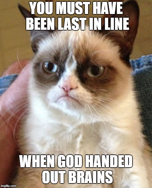 Grumpy Cat Meme | YOU MUST HAVE BEEN LAST IN LINE; WHEN GOD HANDED OUT BRAINS | image tagged in memes,grumpy cat | made w/ Imgflip meme maker