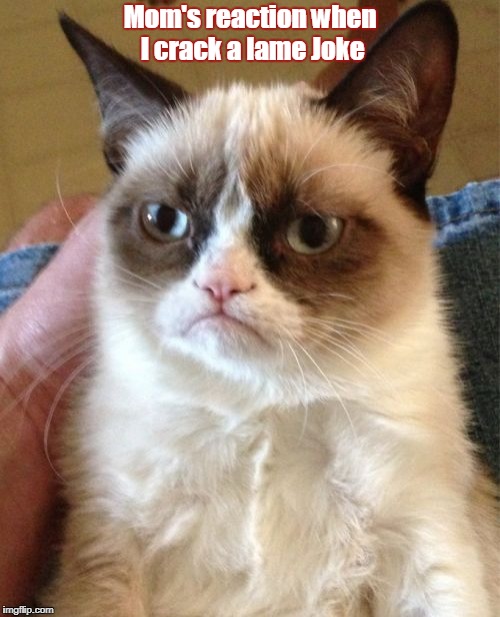 Grumpy Cat Meme | Mom's reaction when I crack a lame Joke | image tagged in memes,grumpy cat | made w/ Imgflip meme maker