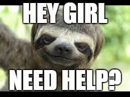 SWAG SLOTH | HEY GIRL; NEED HELP? | image tagged in the most interesting man in the world | made w/ Imgflip meme maker