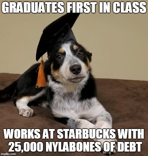 Graduate Dog | GRADUATES FIRST IN CLASS; WORKS AT STARBUCKS WITH 25,000 NYLABONES OF DEBT | image tagged in college,debt,lies,dog,graduation | made w/ Imgflip meme maker