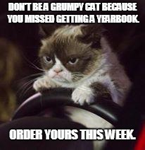 Grumpy Cat Car | DON'T BE A GRUMPY CAT
BECAUSE YOU MISSED GETTING A YEARBOOK. ORDER YOURS THIS WEEK. | image tagged in grumpy cat car | made w/ Imgflip meme maker
