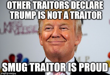 Donald trump approves | OTHER TRAITORS DECLARE TRUMP IS NOT A TRAITOR; SMUG TRAITOR IS PROUD | image tagged in donald trump approves | made w/ Imgflip meme maker