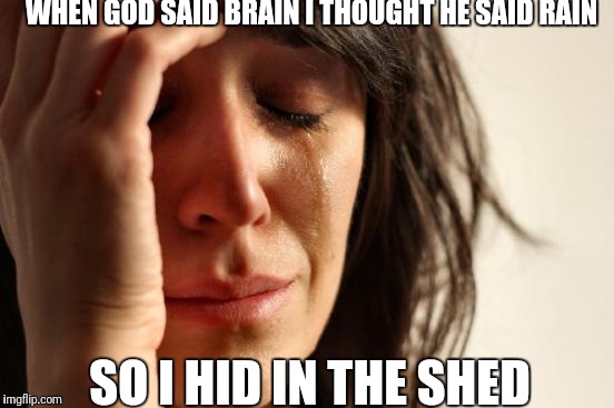 First World Problems Meme | WHEN GOD SAID BRAIN I THOUGHT HE SAID RAIN SO I HID IN THE SHED | image tagged in memes,first world problems | made w/ Imgflip meme maker