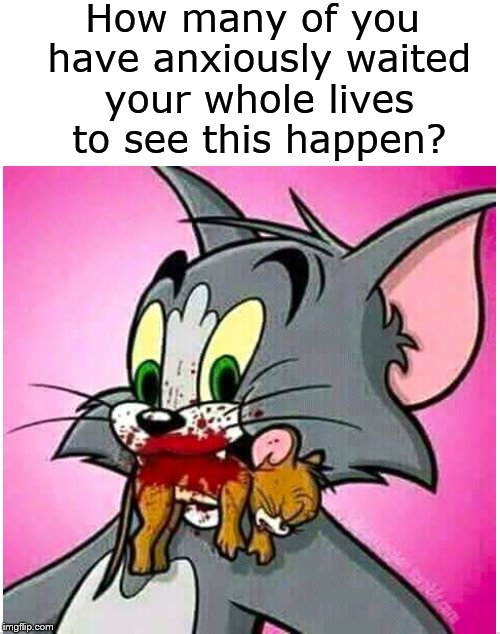Finally! | How many of you have anxiously waited your whole lives to see this happen? | image tagged in tom and jerry,cartoon,cat,mouse,dank memes | made w/ Imgflip meme maker