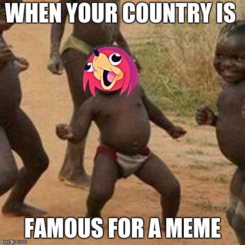 Third World Success Kid | WHEN YOUR COUNTRY IS; FAMOUS FOR A MEME | image tagged in memes,third world success kid | made w/ Imgflip meme maker