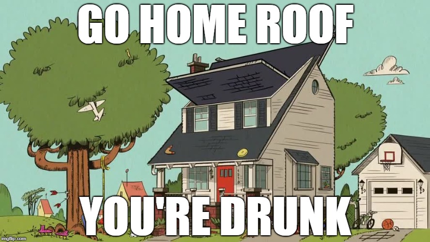 the loud house | GO HOME ROOF; YOU'RE DRUNK | image tagged in the loud house,roof | made w/ Imgflip meme maker