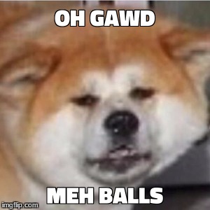 Oh Gawd Meh Balls | image tagged in meh balls,dog,funny | made w/ Imgflip meme maker