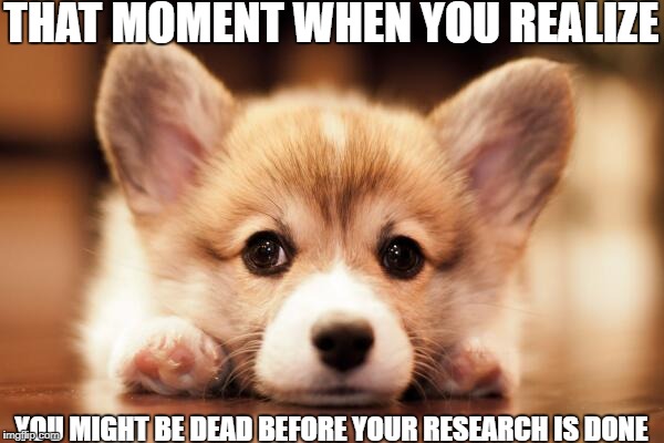 Corgi cuteness | THAT MOMENT WHEN YOU REALIZE; YOU MIGHT BE DEAD BEFORE YOUR RESEARCH IS DONE | image tagged in corgi cuteness | made w/ Imgflip meme maker