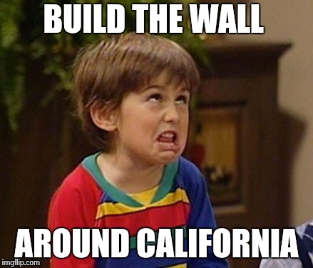 BUILD THE WALL AROUND CALIFORNIA | image tagged in wtf kid | made w/ Imgflip meme maker