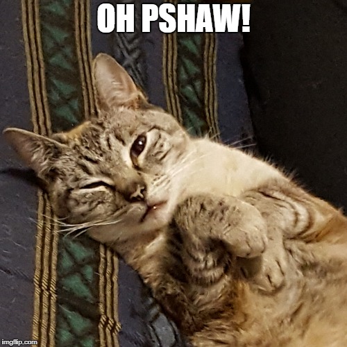 Pshaw | OH PSHAW! | image tagged in cat | made w/ Imgflip meme maker