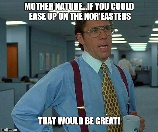 That Would Be Great | MOTHER NATURE...IF YOU COULD EASE UP ON THE NOR'EASTERS; THAT WOULD BE GREAT! | image tagged in memes,that would be great | made w/ Imgflip meme maker