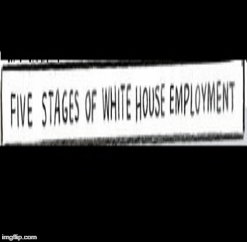 5 stages of Whitehouse employment | image tagged in gifs | made w/ Imgflip images-to-gif maker