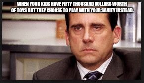 irritated | WHEN YOUR KIDS HAVE FIFTY THOUSAND DOLLARS WORTH OF TOYS BUT THEY CHOOSE TO PLAY WITH YOUR SANITY INSTEAD. | image tagged in irritated | made w/ Imgflip meme maker