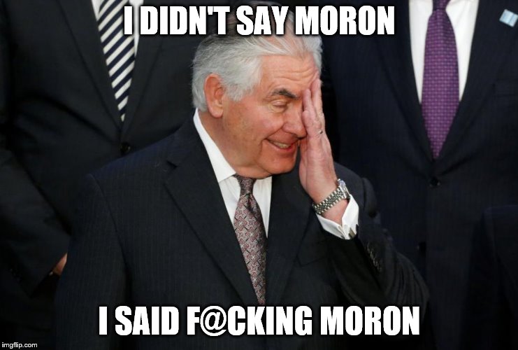 tillerson | I DIDN'T SAY MORON; I SAID F@CKING MORON | image tagged in tillerson | made w/ Imgflip meme maker