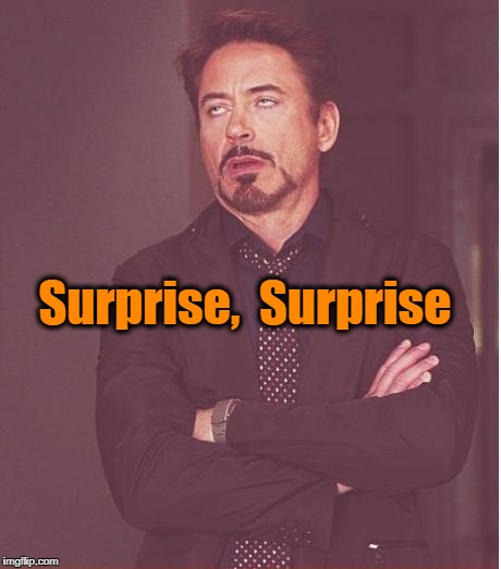 Face You Make Robert Downey Jr Meme | Surprise,  Surprise | image tagged in memes,face you make robert downey jr | made w/ Imgflip meme maker