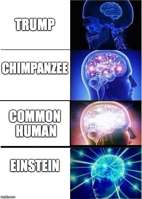 Expanding Brain | TRUMP; CHIMPANZEE; COMMON HUMAN; EINSTEIN | image tagged in memes,expanding brain | made w/ Imgflip meme maker