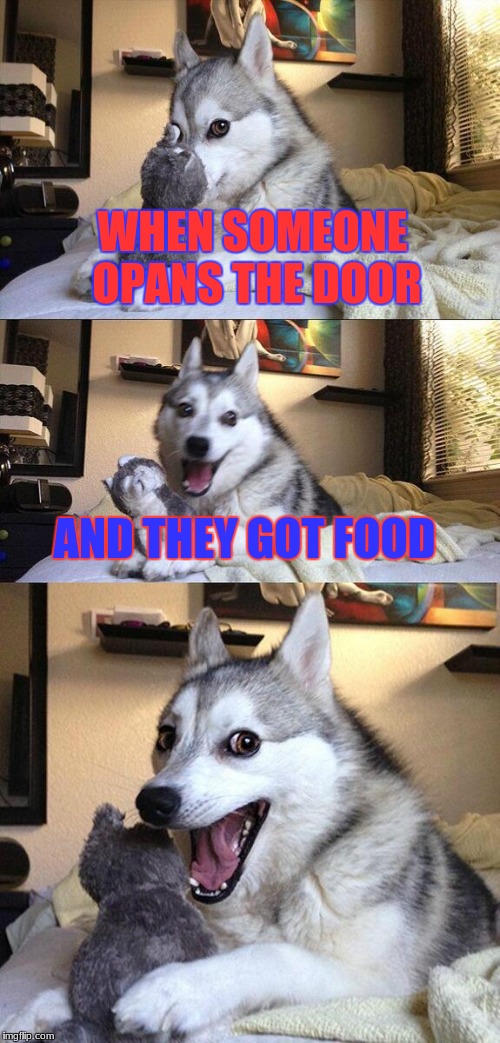 Bad Pun Dog Meme | WHEN SOMEONE OPANS THE DOOR; AND THEY GOT FOOD | image tagged in memes,bad pun dog | made w/ Imgflip meme maker