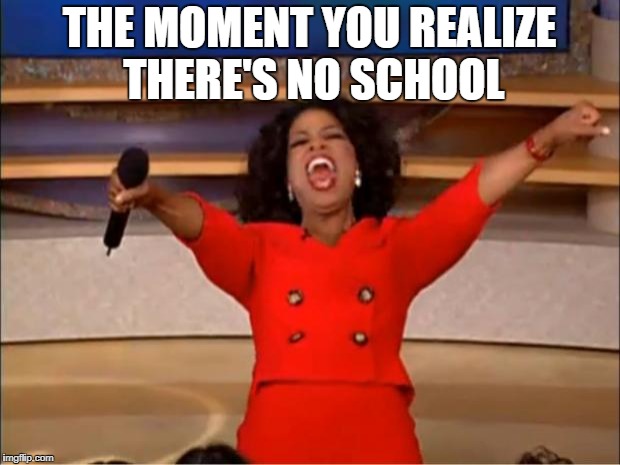 Oprah You Get A Meme | THE MOMENT YOU REALIZE THERE'S NO SCHOOL | image tagged in memes,oprah you get a | made w/ Imgflip meme maker