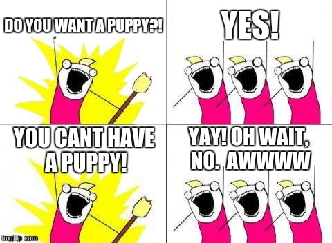 What Do We Want | DO YOU WANT A PUPPY?! YES! YAY! OH WAIT, NO. 
AWWWW; YOU CANT HAVE A PUPPY! | image tagged in memes,what do we want | made w/ Imgflip meme maker