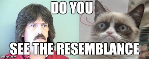 Grumpy Cat's Father | DO YOU; SEE THE RESEMBLANCE | image tagged in memes,grumpy cats father,grumpy cat | made w/ Imgflip meme maker