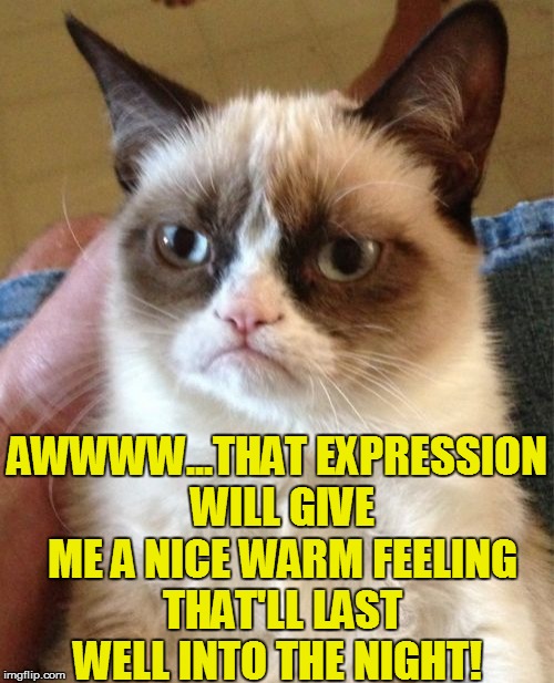 Grumpy Cat Meme | AWWWW...THAT EXPRESSION WILL GIVE ME A NICE WARM FEELING THAT'LL LAST WELL INTO THE NIGHT! | image tagged in memes,grumpy cat | made w/ Imgflip meme maker