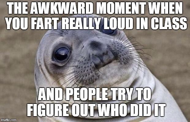 Awkward Moment Sealion | THE AWKWARD MOMENT WHEN YOU FART REALLY LOUD IN CLASS; AND PEOPLE TRY TO FIGURE OUT WHO DID IT | image tagged in memes,awkward moment sealion | made w/ Imgflip meme maker