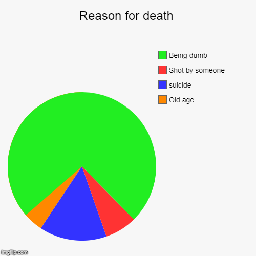 Reason for death | Old age, suicide , Shot by someone, Being dumb | image tagged in funny,pie charts | made w/ Imgflip chart maker