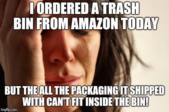 First World Problems | I ORDERED A TRASH BIN FROM AMAZON TODAY; BUT THE ALL THE PACKAGING IT SHIPPED WITH CAN'T FIT INSIDE THE BIN! | image tagged in memes,first world problems | made w/ Imgflip meme maker