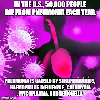 IN THE U.S., 50,000 PEOPLE DIE FROM PNEUMONIA EACH YEAR. PNEUMONIA IS CAUSED BY STREPTOCOCCUS, HAEMOPHILUS INFLUENZAE,  CHLAMYDIA , MYCOPLASMA, AND LEGIONELLA | image tagged in pneumonia | made w/ Imgflip meme maker