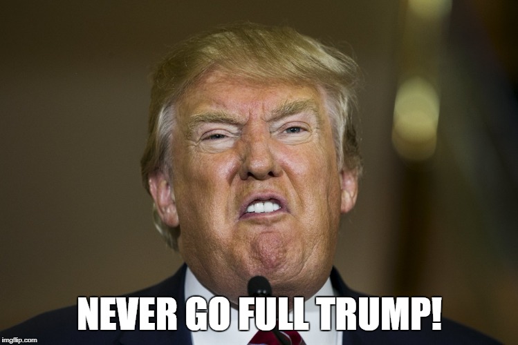 Full Trump
 | NEVER GO FULL TRUMP! | image tagged in full trump,never go full trump | made w/ Imgflip meme maker