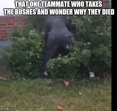 fortnit bush | THAT ONE TEAMMATE WHO TAKES THE BUSHES AND WONDER WHY THEY DIED | image tagged in fortnit bush | made w/ Imgflip meme maker