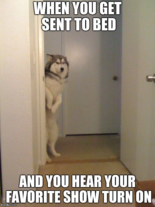 Scared standing dog | WHEN YOU GET SENT TO BED; AND YOU HEAR YOUR FAVORITE SHOW TURN ON | image tagged in scared standing dog | made w/ Imgflip meme maker