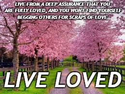  LIVE FROM A DEEP ASSURANCE THAT YOU ARE FULLY LOVED, AND YOU WONT FIND YOURSELF BEGGING OTHERS FOR SCRAPS OF LOVE. LIVE LOVED | image tagged in spring | made w/ Imgflip meme maker
