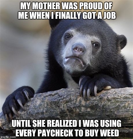 Confession Bear Meme | MY MOTHER WAS PROUD OF ME WHEN I FINALLY GOT A JOB; UNTIL SHE REALIZED I WAS USING EVERY PAYCHECK TO BUY WEED | image tagged in memes,confession bear | made w/ Imgflip meme maker