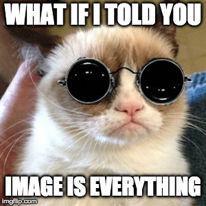 reality check | WHAT IF I TOLD YOU; IMAGE IS EVERYTHING | image tagged in grumpy cat | made w/ Imgflip meme maker