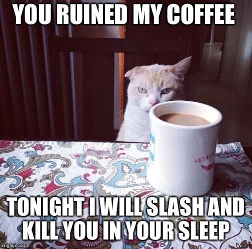 Cat Doesn't Like this Coffee | YOU RUINED MY COFFEE; TONIGHT I WILL SLASH AND KILL YOU IN YOUR SLEEP | image tagged in cat doesn't like this coffee | made w/ Imgflip meme maker