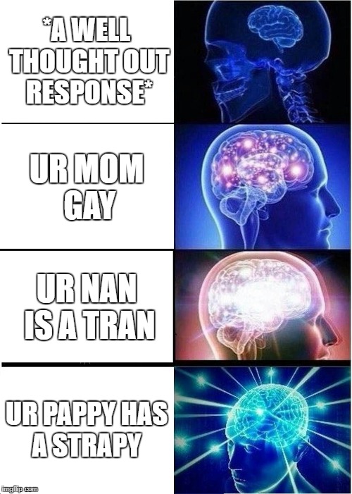 Expanding Brain Meme | *A WELL THOUGHT OUT RESPONSE*; UR MOM GAY; UR NAN IS A TRAN; UR PAPPY HAS A STRAPY | image tagged in memes,expanding brain | made w/ Imgflip meme maker