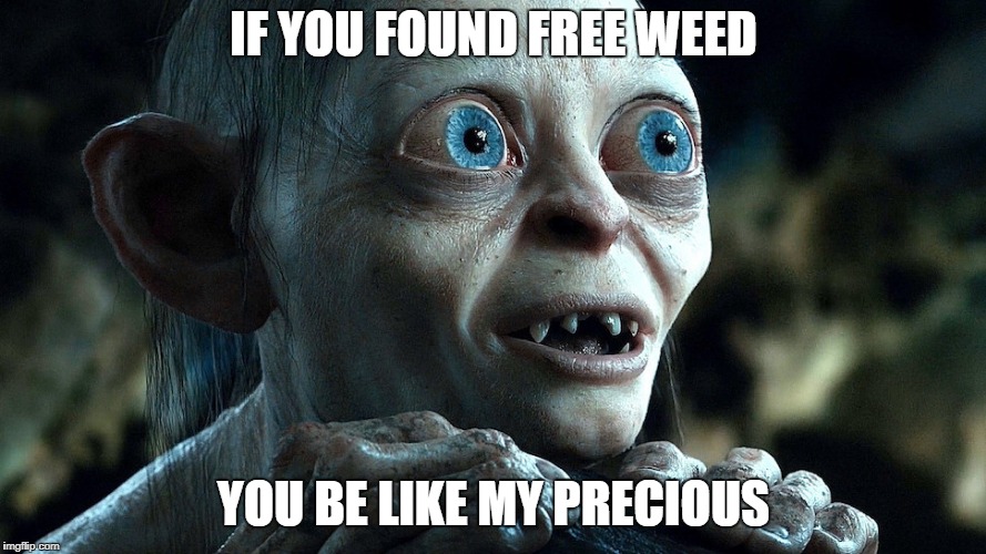 weed smeagle | IF YOU FOUND FREE WEED; YOU BE LIKE MY PRECIOUS | image tagged in lord of the rings | made w/ Imgflip meme maker